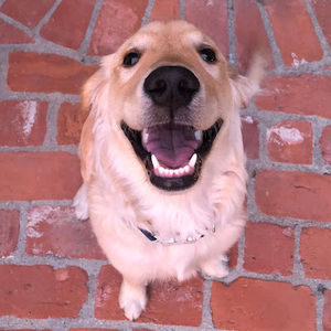 Meet your Posher, Cole